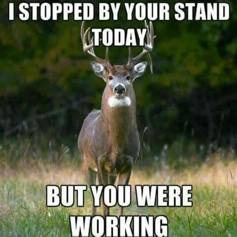 funny deer hunting memes|deer hunting humor pictures.